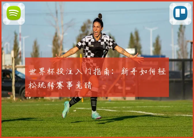 世界杯投注入门指南：新手如何轻松玩转赛事竞猜