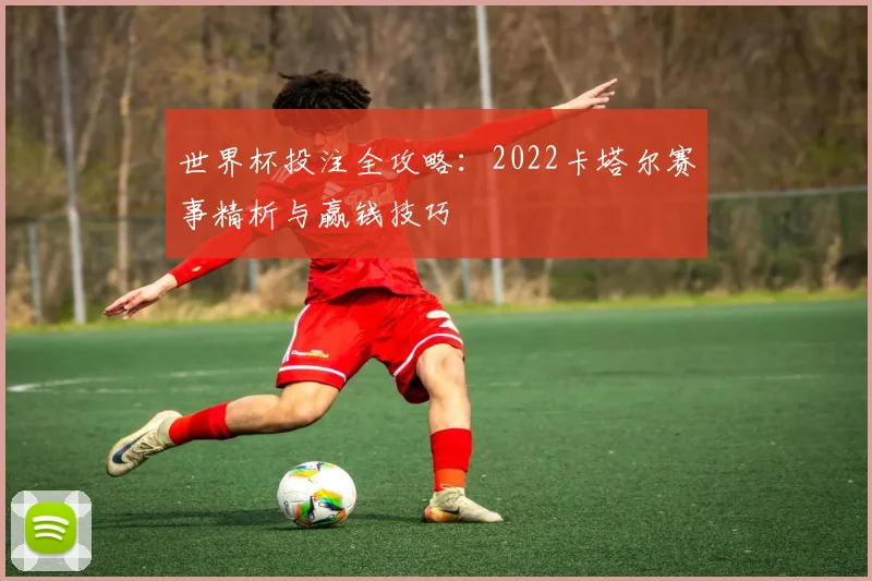 世界杯投注全攻略：2022卡塔尔赛事精析与赢钱技巧