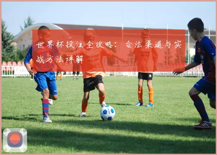 世界杯投注全攻略:合法渠道与实战方法详解
