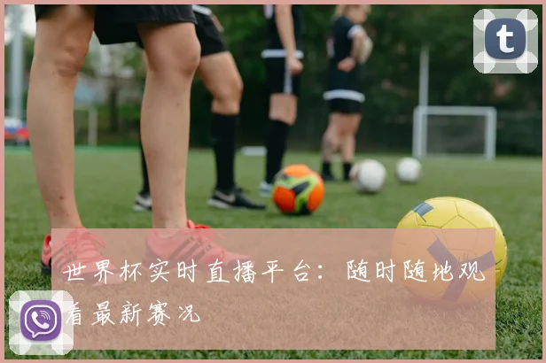 世界杯实时直播平台:随时随地观看最新赛况