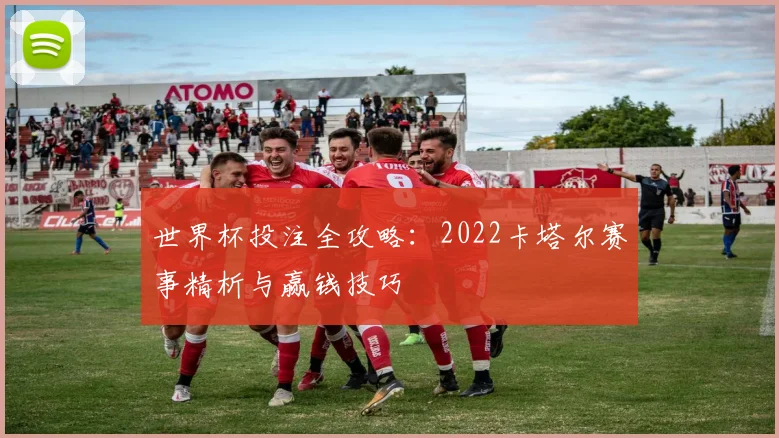 世界杯投注全攻略：2022卡塔尔赛事精析与赢钱技巧