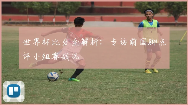 世界杯比分全解析：专访前国脚点评小组赛战况